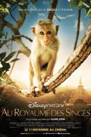 Au Royaume des singes