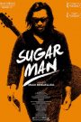 Sugar Man
