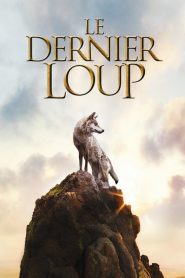 Le dernier loup