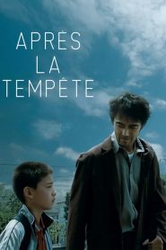 Après la tempête