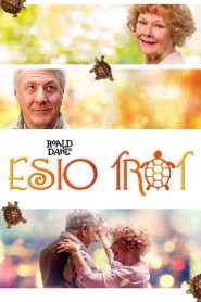 Un amour de tortue