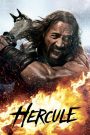 Hercule