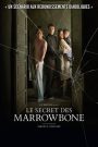 Le Secret des Marrowbone