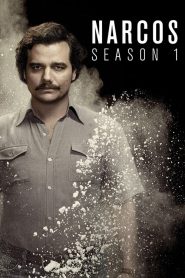 Narcos: Saison 1
