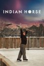 Cheval Indien