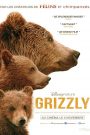 Grizzly