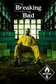 Breaking Bad: Saison 5