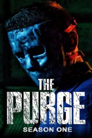 The Purge / American Nightmare: Saison 1