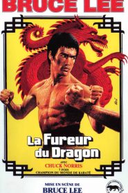 La Fureur du dragon