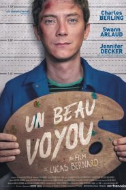 Un beau voyou