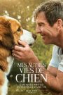 Mes autres vies de chien