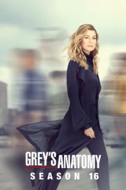 Grey’s Anatomy: Saison 16