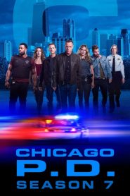 Chicago Police Department: Saison 7
