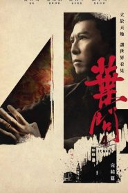 Ip Man 4 : Le Dernier Combat