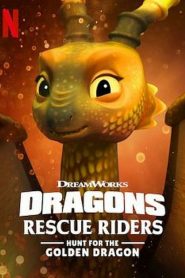 Dragons : Les Gardiens du ciel : À la poursuite du dragon d’or