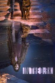 In the Dark: Saison 2