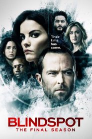 Blindspot: Saison 5
