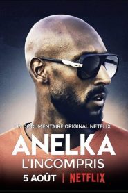 Anelka : L’Incompris