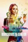 Pain Hustlers – Marchands de douleur
